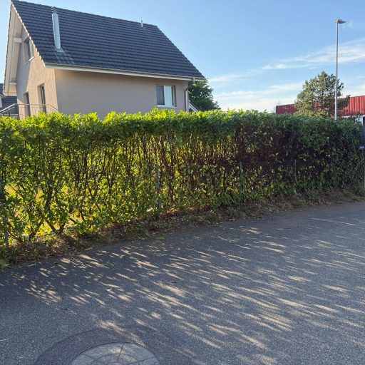 hausarbeiten_2