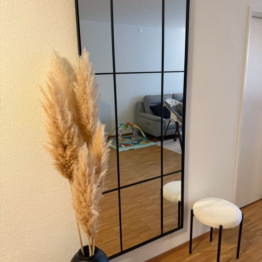 spiegelmontage